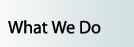 What We Do